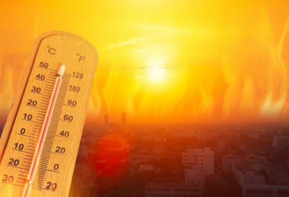 Исследование: Периоды экстремальной жары будут повторяться регулярно