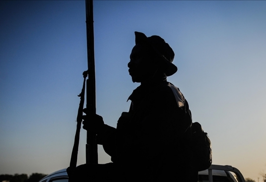 Niger's president being held inside palace - security sources