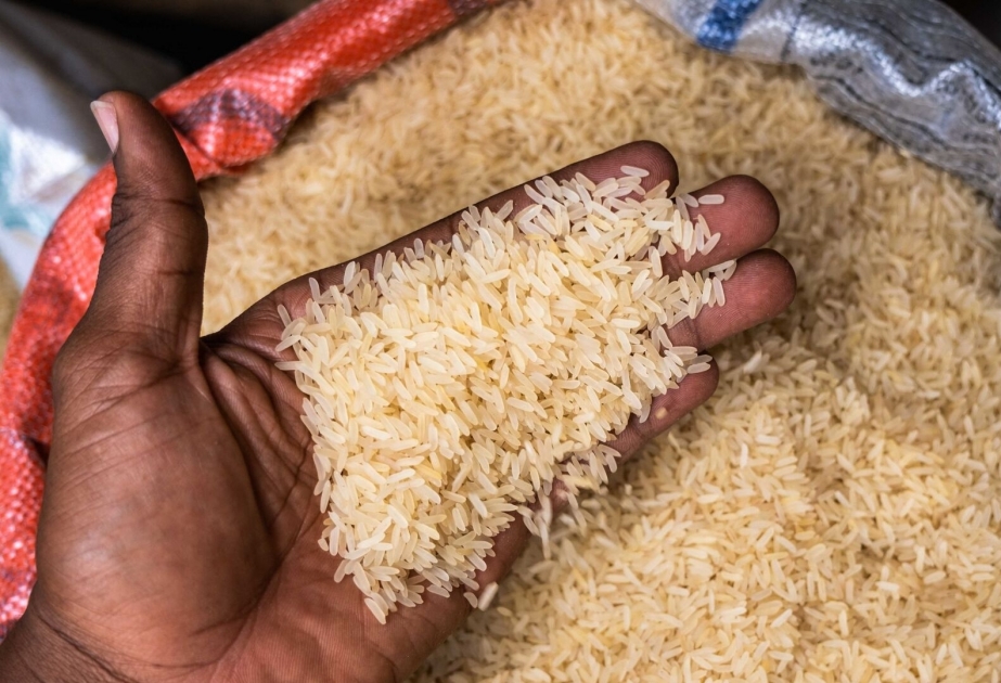 Le FMI exhorte l'Inde à lever son interdiction d'exporter du riz blanc non basmati