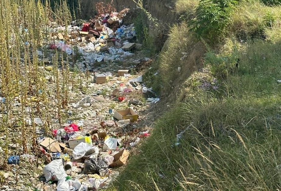 Qubada bələdiyyə sədrləri və sahibkar inzibati məsuliyyətə cəlb edilib
