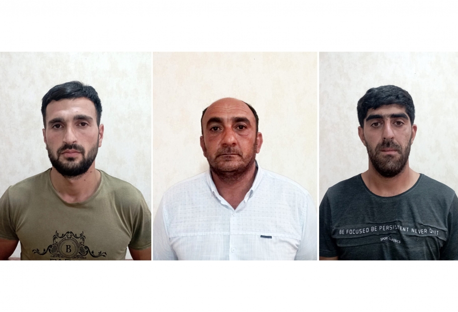 Fərdi təsərrüfatlardan silsilə oğurluqlar edən dəstə ifşa olunub