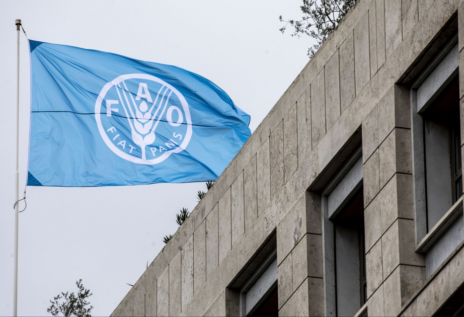 FAO vəhşi təbiətin qorunması təşəbbüsünü genişləndirir