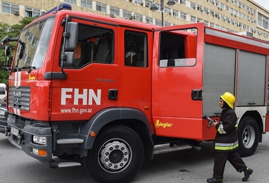 FHN: Ötən sutka ərzində ikisi azyaşlı olmaqla 16 nəfər xilas edilib