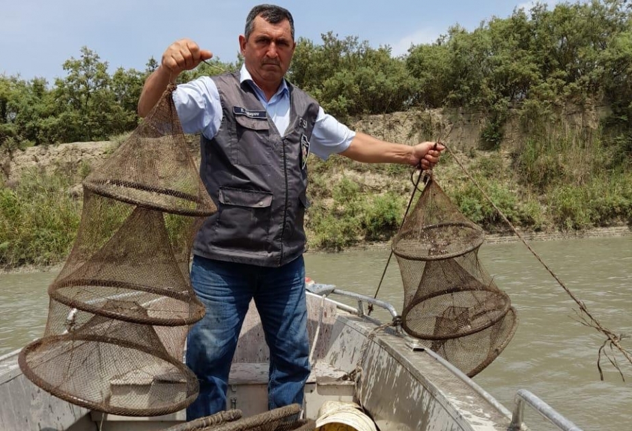 Qanunsuz ov edən şəxslər cəzalandırılıblar