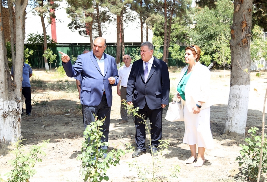 İsa Həbibbəyli AMEA-da Ulu Öndərin xatirəsinə salınmış Nadir ağaclar parkında görülən işlərlə tanış olub