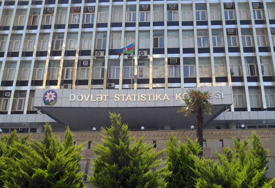Birinci yarımildə statistik vahidlərin sayı 190 min 813 olub