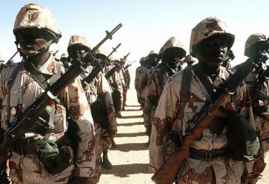 Niger hərbçilərinə qanuni hakimiyyətin bərpası üçün 15 gün vaxt verilib