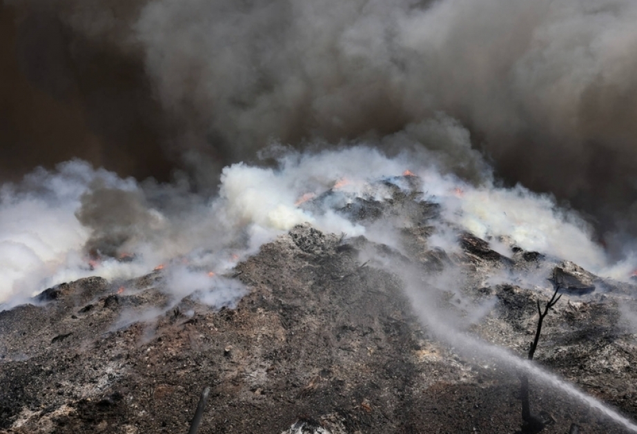 За последние сутки в Греции вспыхнуло еще 55 пожаров