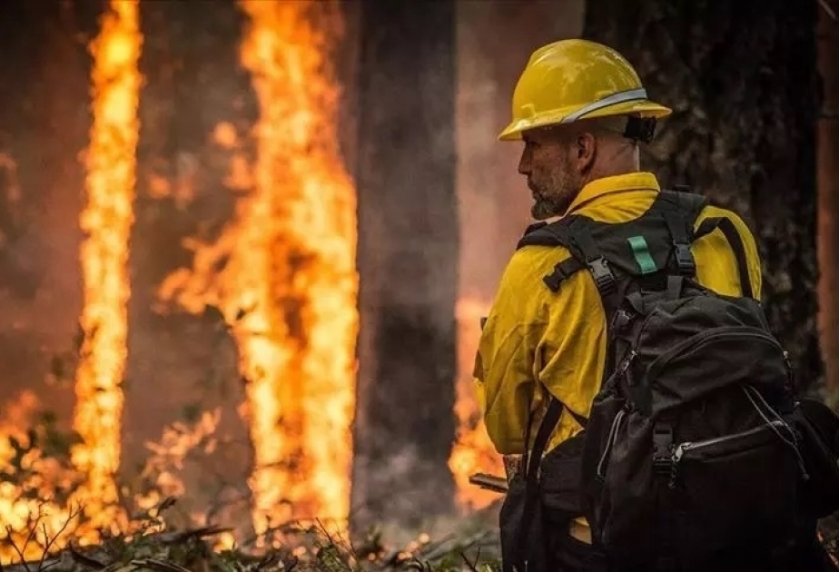 Canada wildfire: Firefighter dies tackling British Columbia blaze