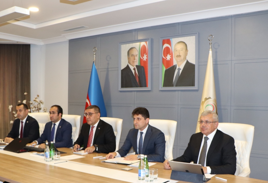 Alüminium sənayesinə yeni xarici investorların cəlbi müzakirə olunub