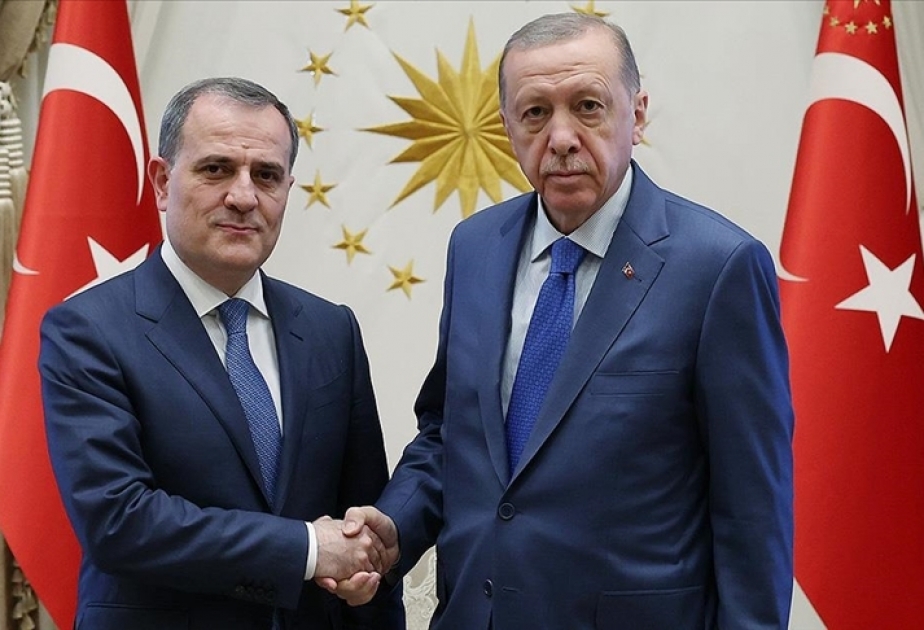 Türkiyə Prezidenti Rəcəb Tayyib Ərdoğan Azərbaycanın xarici işlər nazirini qəbul edib