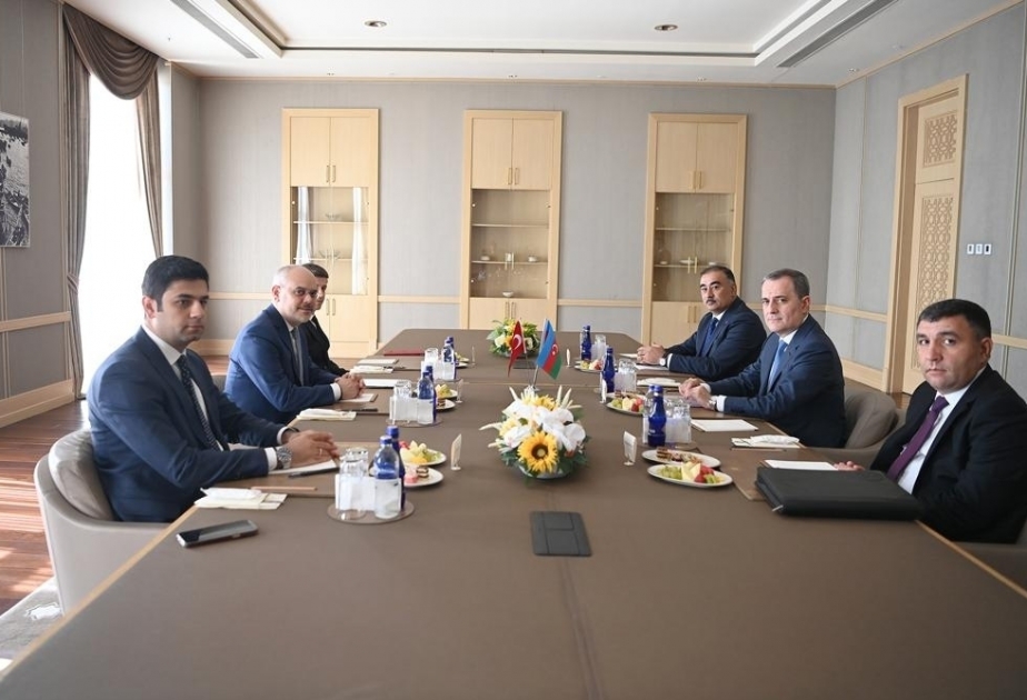 Azerbaijani FM informs Turkish President's chief advisor about military and political provocations of Armenia