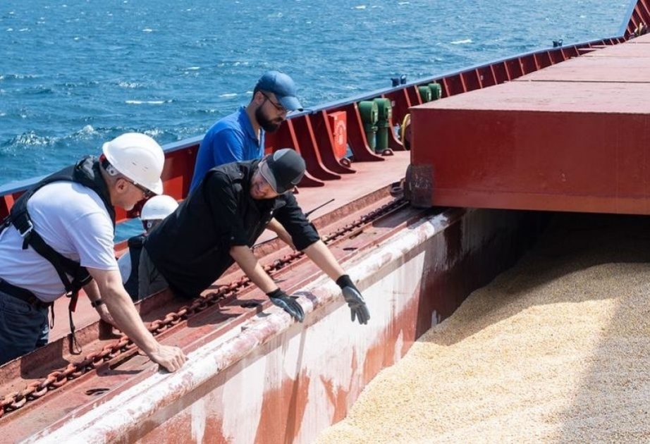 Kyiv, Zagreb agree on use of Croatian ports for Ukrainian grain exports