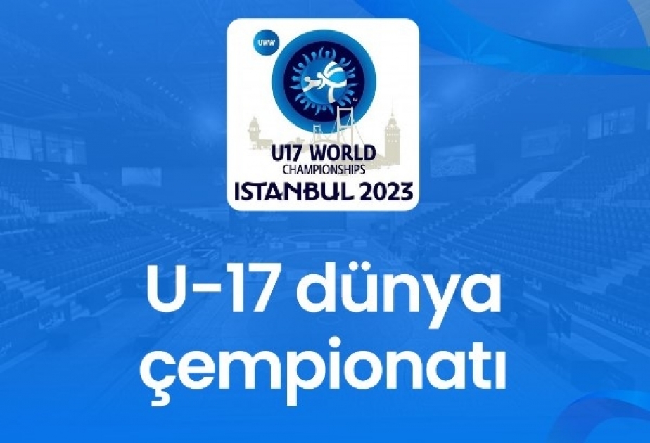 Azərbaycanın yunan-Roma güləşi yığması dünya ikincisi olub