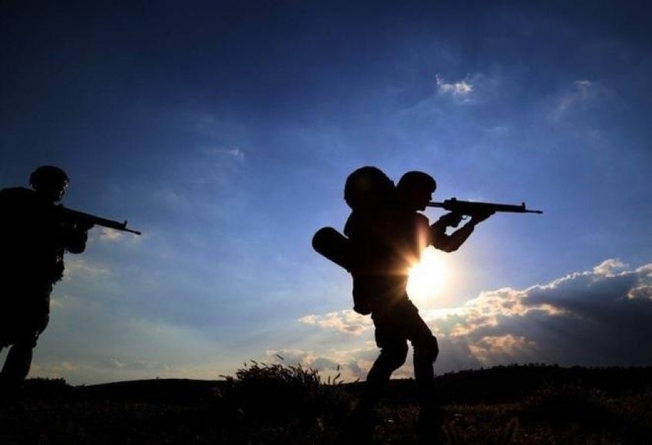 Türkiyənin təhlükəsizlik qüvvələri iki ayda 172 terrorçunu zərərsizləşdirib