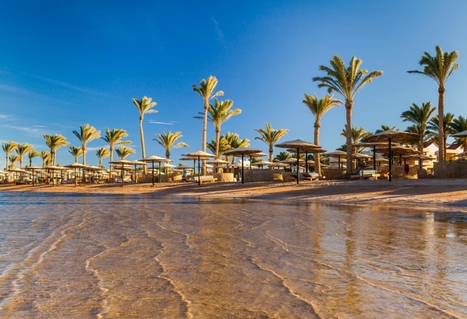 Egypt’s first underwater military museum to be established in the Red Sea