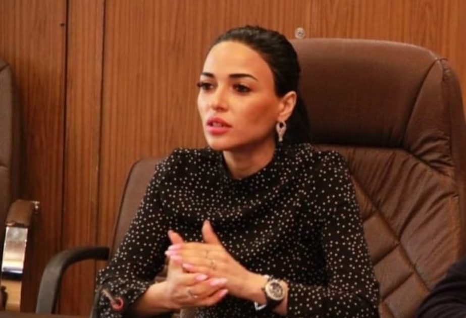 İctimai fəal: Ermənistan sülh sazişini imzalamaq prosesindən yayınmaqla yalnız özünə ziyan vurur