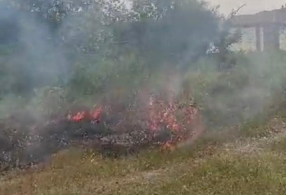 Ağdaşda sanitar-gigiyena qaydalarına əməl etməyən şəxs barəsində protokol tərtib olunub