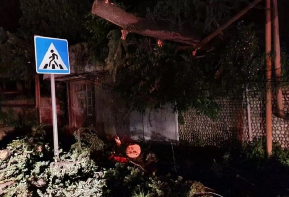 كارثة طبيعية في 6 مناطق لجورجيا