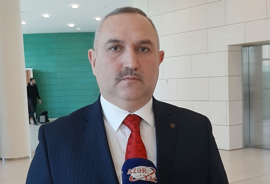 Beynəlxalq ictimaiyyət ermənilərin mina terroruna qarşı bu ölkəyə təzyiq göstərməlidir -  Açıqlama