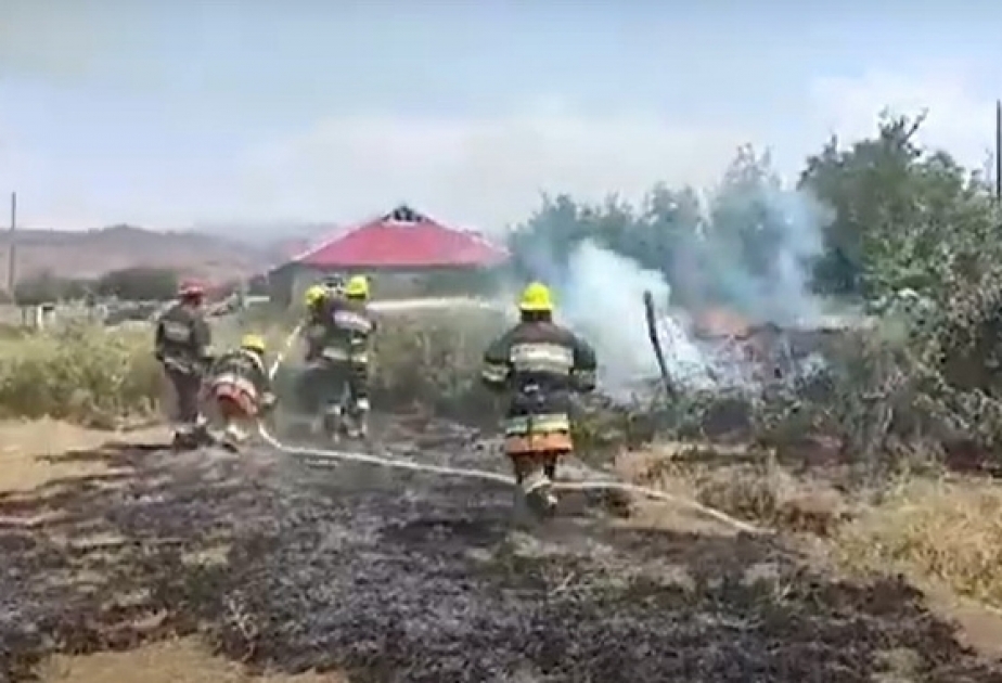 Şərur rayonunun Maxta kəndində baş verən yanğının genişlənməsinin qarşısı alınıb VİDEO