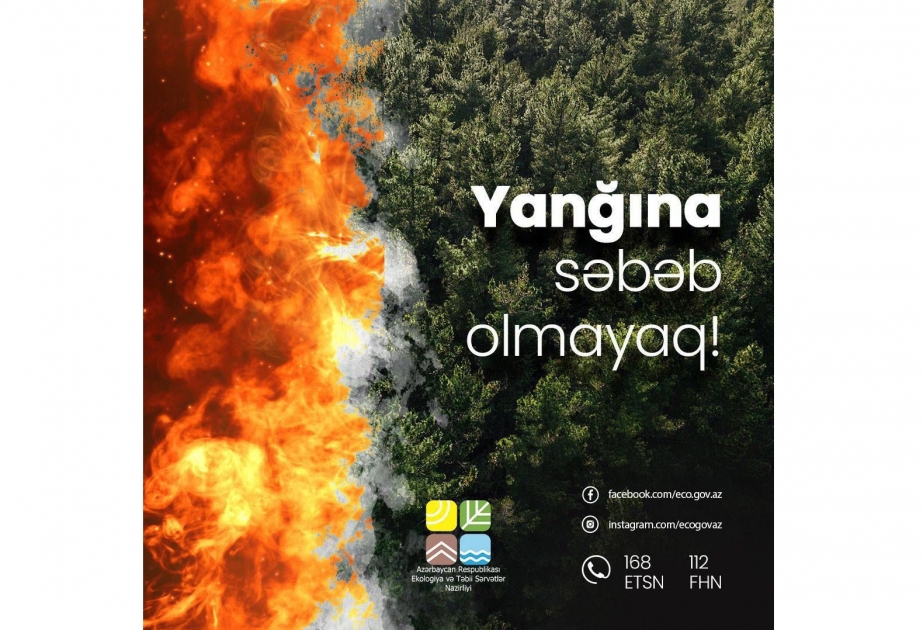 Qızılağac Milli Parkının ərazisində yanğınsöndürmə tədbirləri davam etdirilir