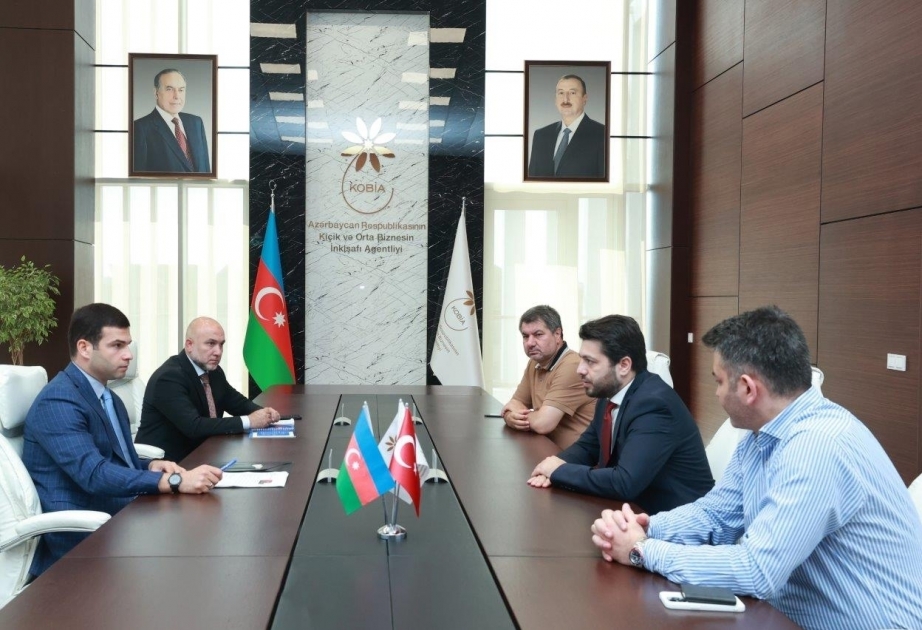 Azerbaijan’s KOBIA, Turkish Airlines discuss opportunities for cooperation