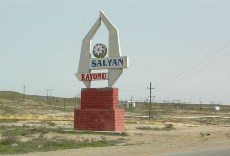 Salyanda əhaliyə göstərilən ödənişli xidmətlərin həcmi artıb