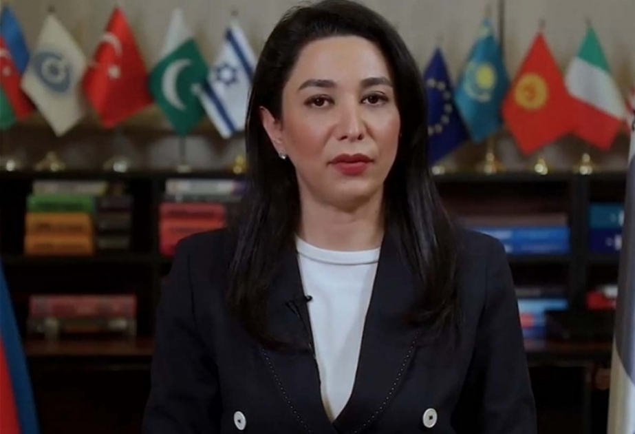 Ombudsman BMT-nin İnsan Hüquqları Şurasının bəzi nümayəndələrinin Laçın yolundakı vəziyyətlə bağlı bəyanatına cavab verib