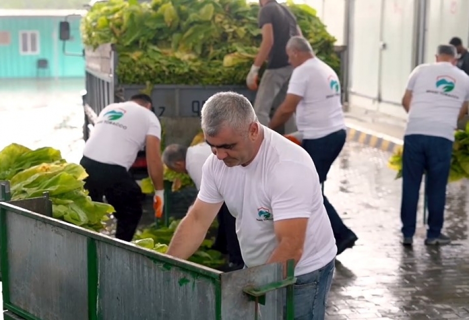 Vətəndaşların bitkiçilik mütəxəssisi peşə ixtisası üzrə qiymətləndirilməsi həyata keçirilib