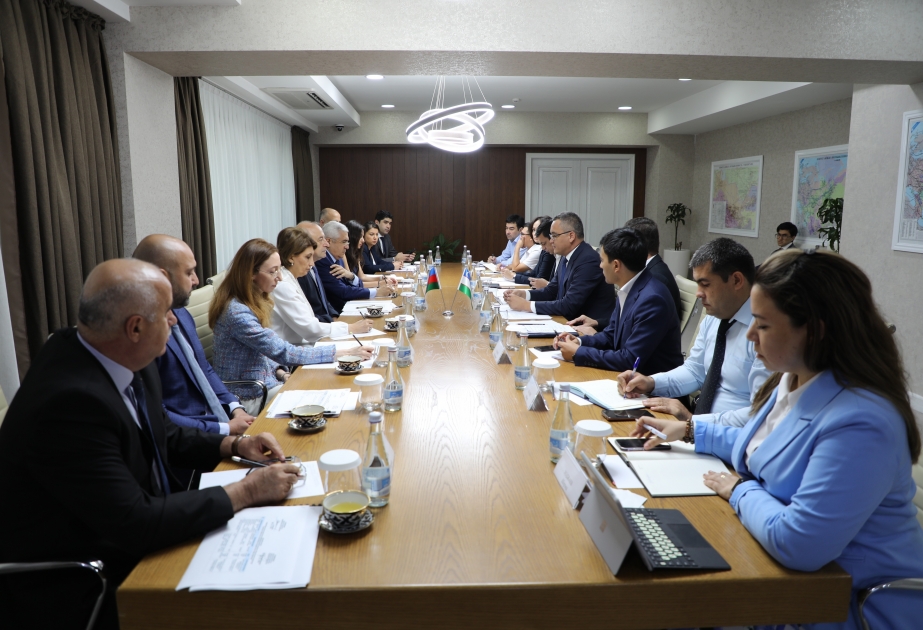 Azerbaiyán y Uzbekistán estudian la cooperación energética