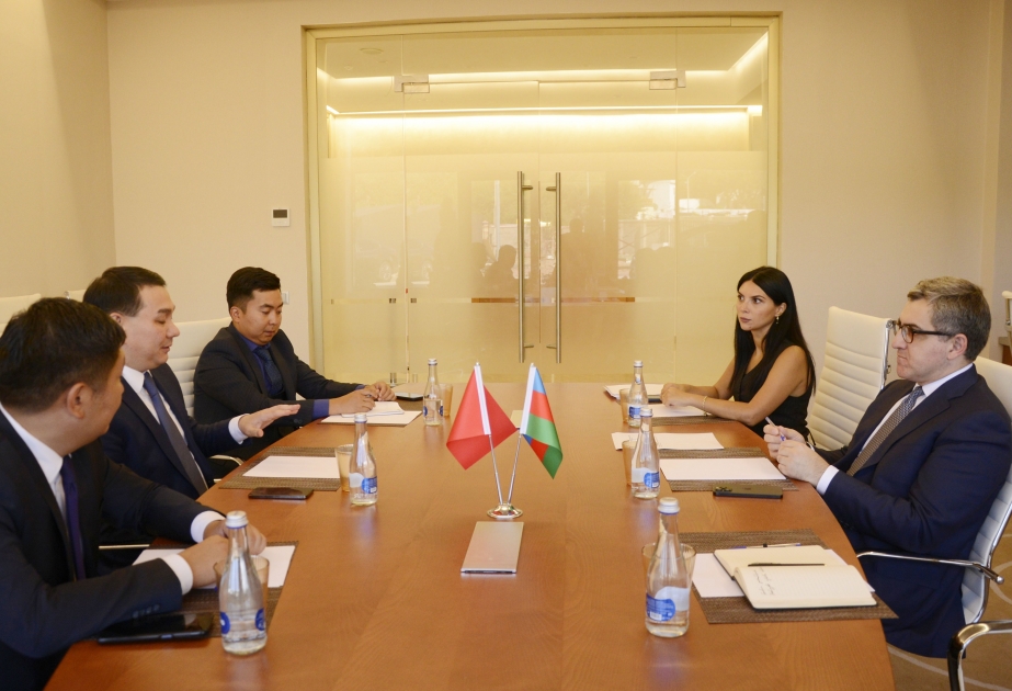 Azerbaiyán y Kirguistán examinan las áreas de interés del Fondo de Desarrollo Azerbaiyán-Kirguistán