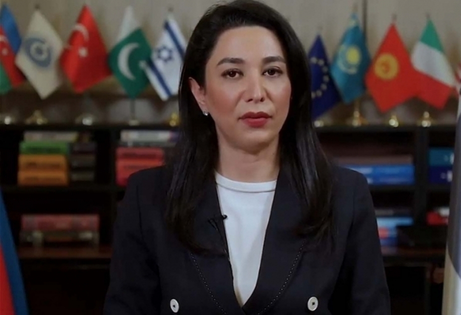 Defensora del Pueblo de Azerbaiyán responde a la declaración de los relatores especiales del Consejo de Derechos Humanos de la ONU sobre la situación en la carretera Khankendi-Lachin