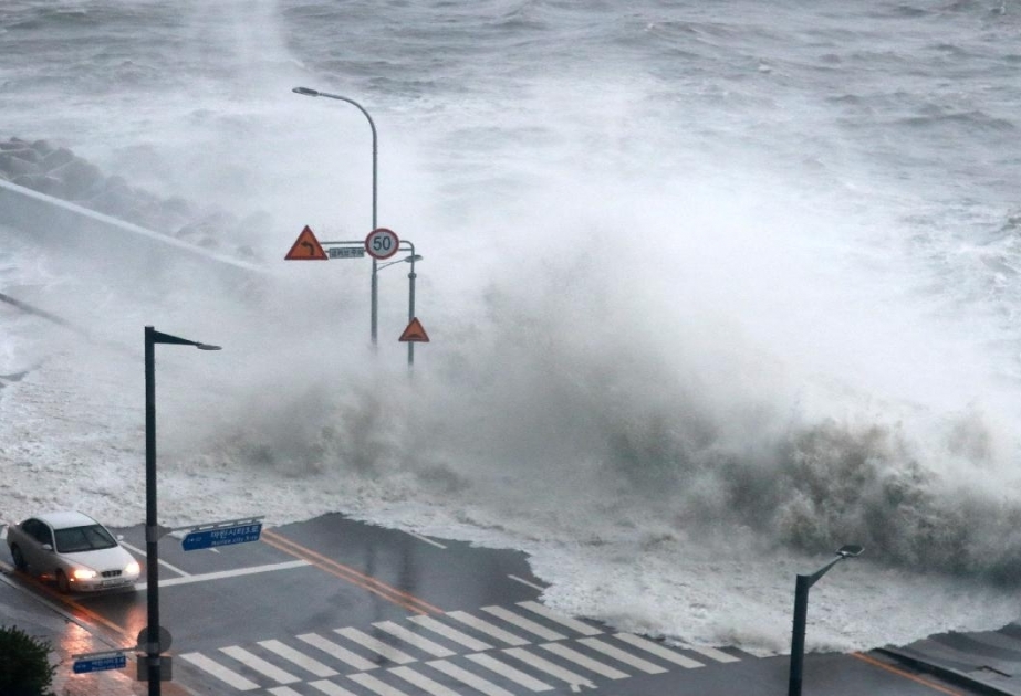 Approaching Typhoon Khanun cancels nearly 140 flights in S.Korea VIDEO