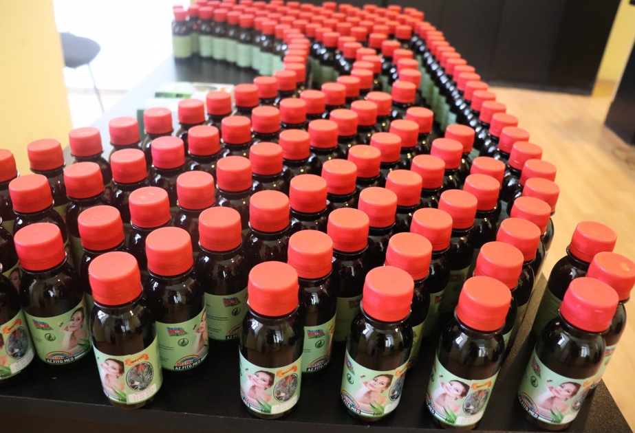 Dendrologiya İnstitutunda aloe bitkisindən şirənin alınması sahəsində tədqiqat aparılır