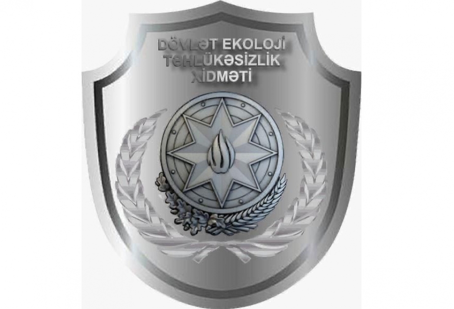 Qanunsuz ağac kəsintisi ilə əlaqədar toplanmış sənədlər Baş Prokurorluğa göndərilib