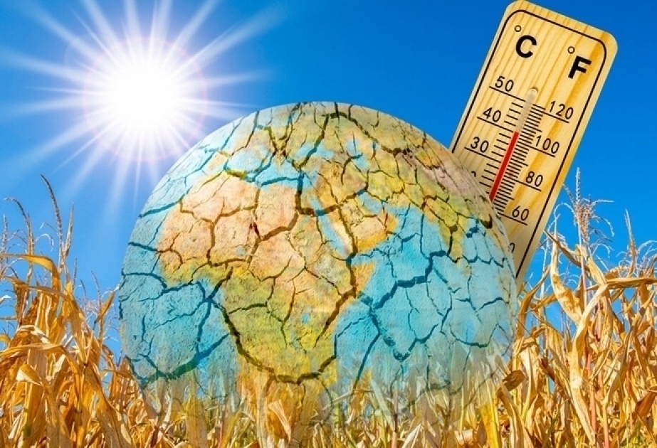 Organización Meteorológica Mundial: “Julio de 2023 será el mes más cálido de los últimos 120 mil años”
