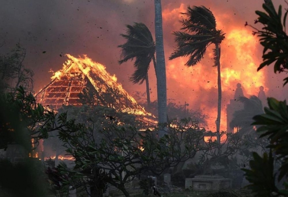 Hawaii: Busch- und Waldbrände