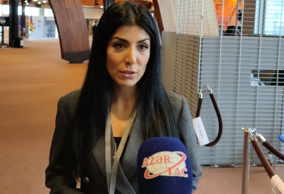 Nigar Arpadarai: BMT-nin ekspertlər qrupunun bəyanatı qeyri-adekvat və qanunsuzdur