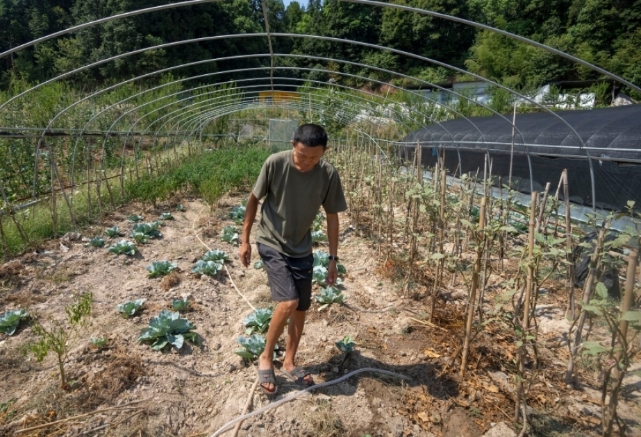 Chinese farmers hit by floods and drought say extreme weather is getting worse