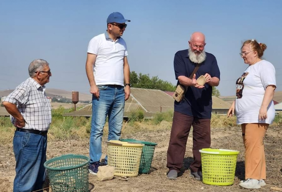 Cəlilabadda 9 min il əvvələ aid edilən təpədə qazıntılar aparılır