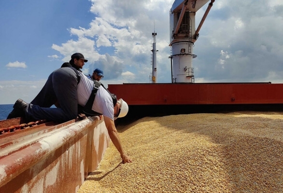 Ukraine announces 'humanitarian corridor' for ships stuck in Black Sea ports