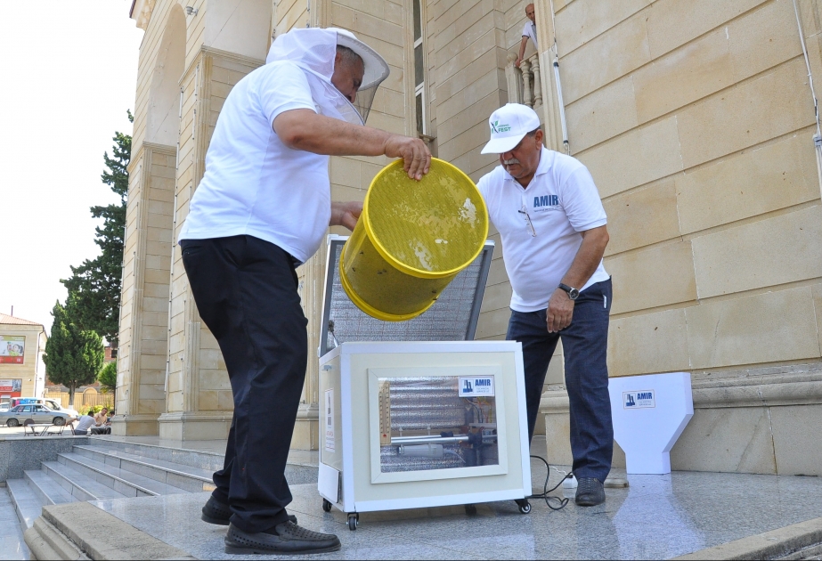 Zaqatalada arıları “Varroa” gənələrindən təmizləyən qurğunun təqdimatı olub