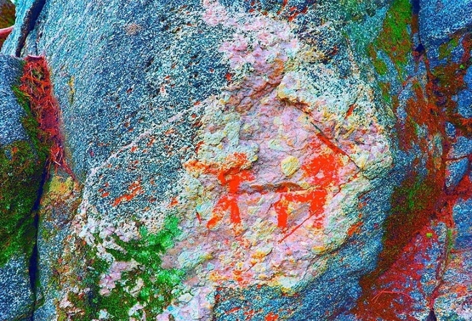A Norwegian dad hiking with his family discovered a rock face covered with bronze age paintings