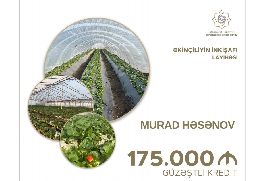 Cəlilabadda əkinçiliyin inkişafı üçün güzəştli kredit ayrılıb