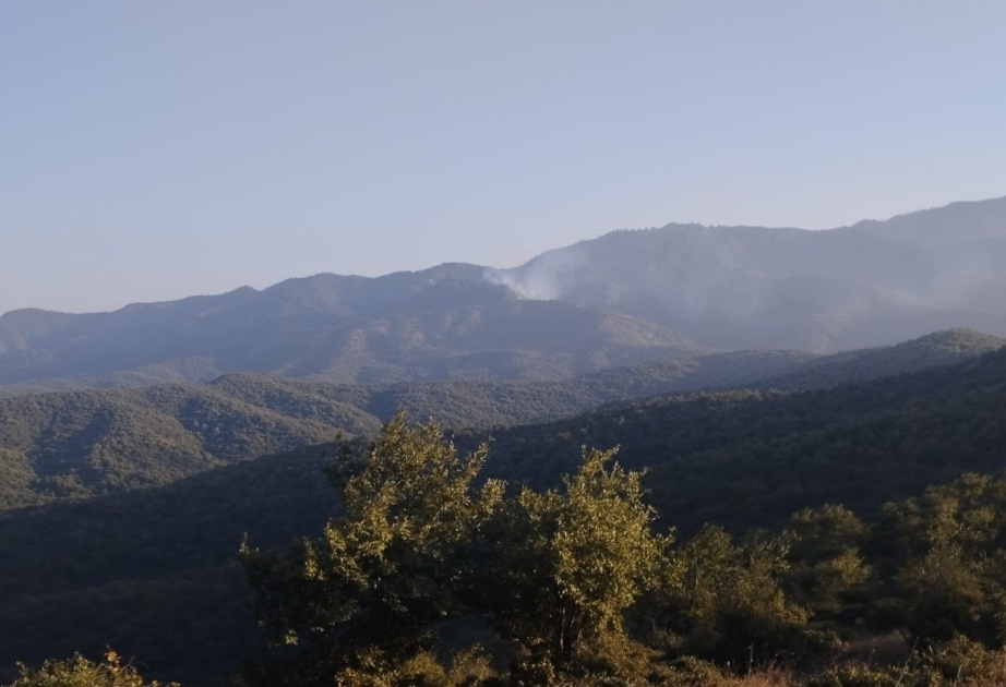 FHN Dövlət Yanğın Nəzarəti Xidməti qəsdən yanğıntörətmə faktının üstünü açıb