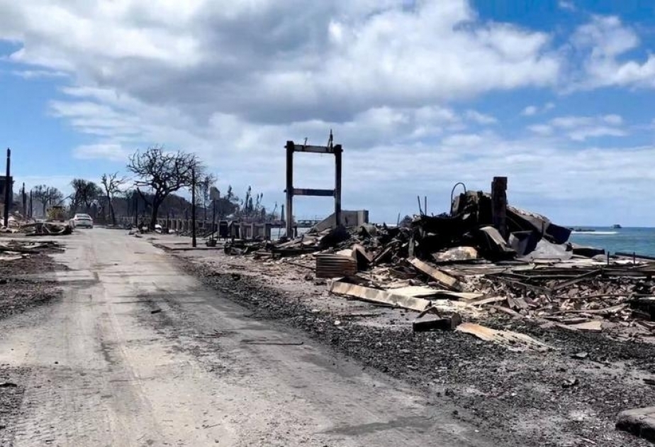 Biden declares emergency in Hawaii as wildfires claim 36 lives