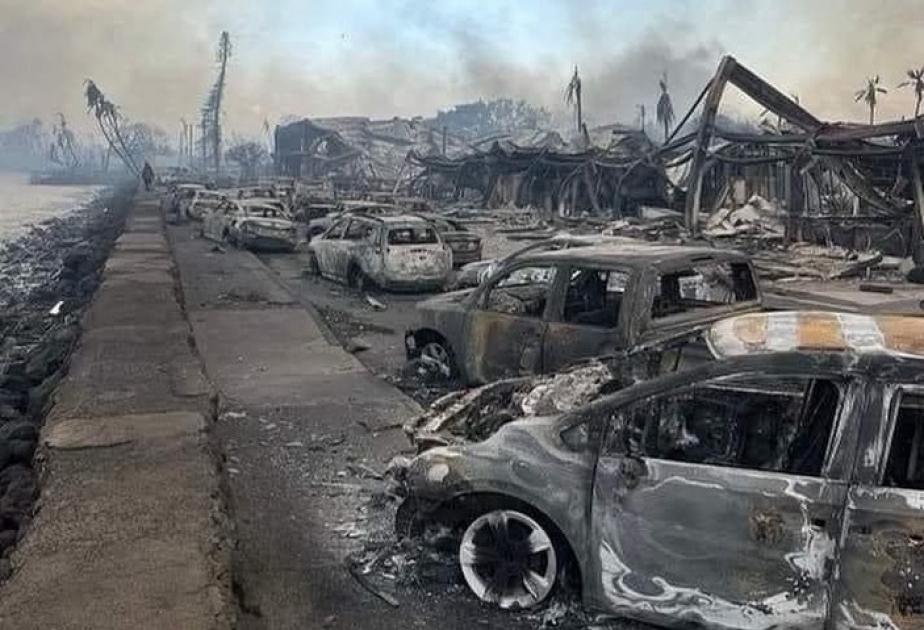 Havayda meşə yanğınlarında ölənlərin sayı 89 nəfərə çatıb