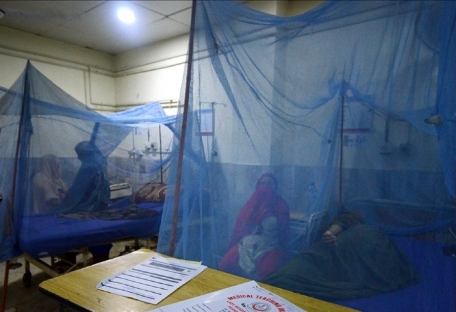 Bangladesh : Le nombre de cas de dengue dépasse les 85.000 dont 398 décès