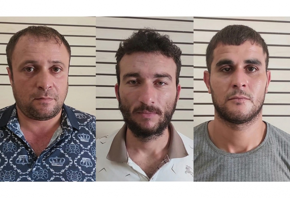 Masallıda oğurluq faktlarına görə 3 nəfər tutulub